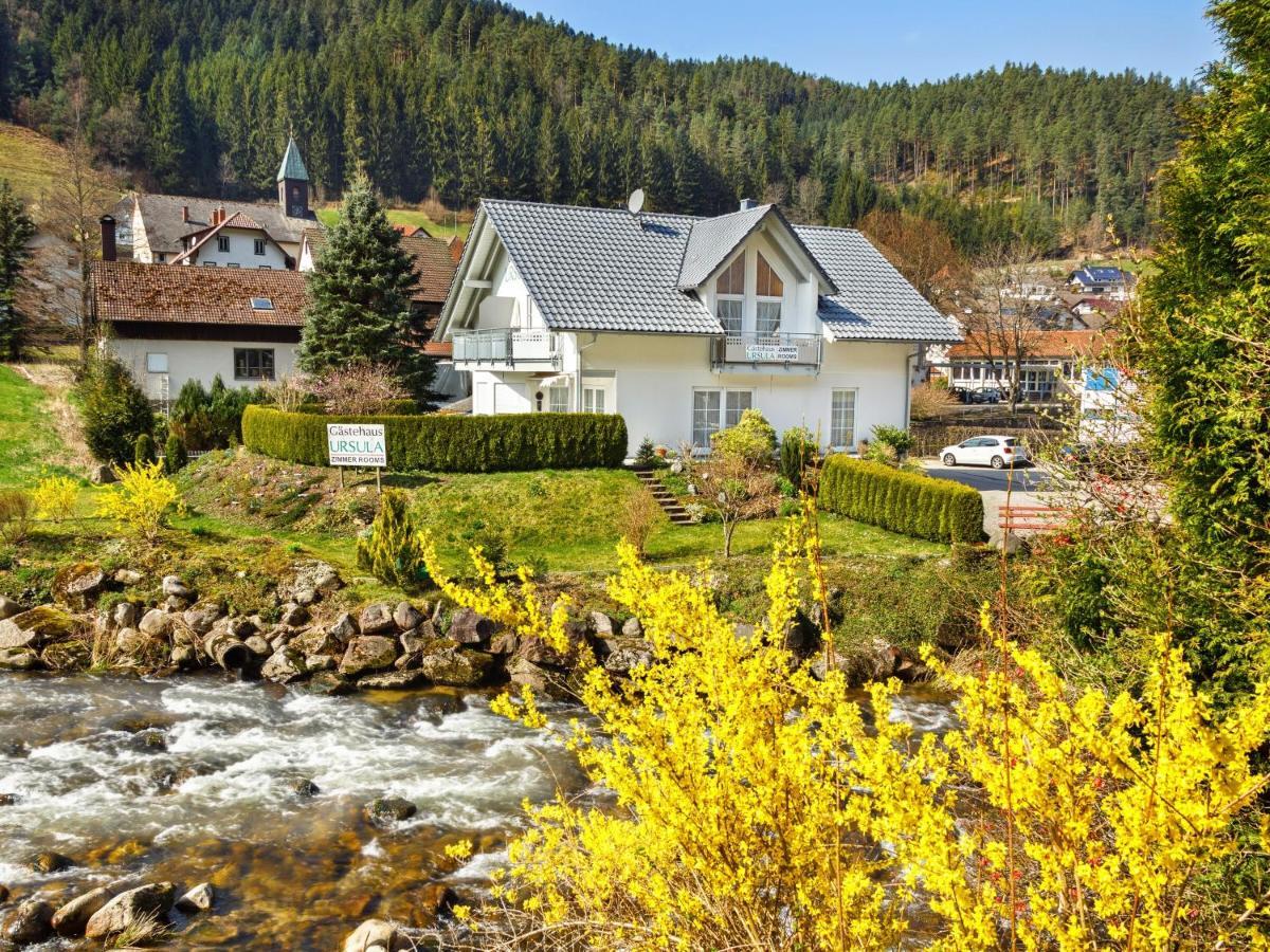 Gaestehaus Ursula ホルンベルク エクステリア 写真