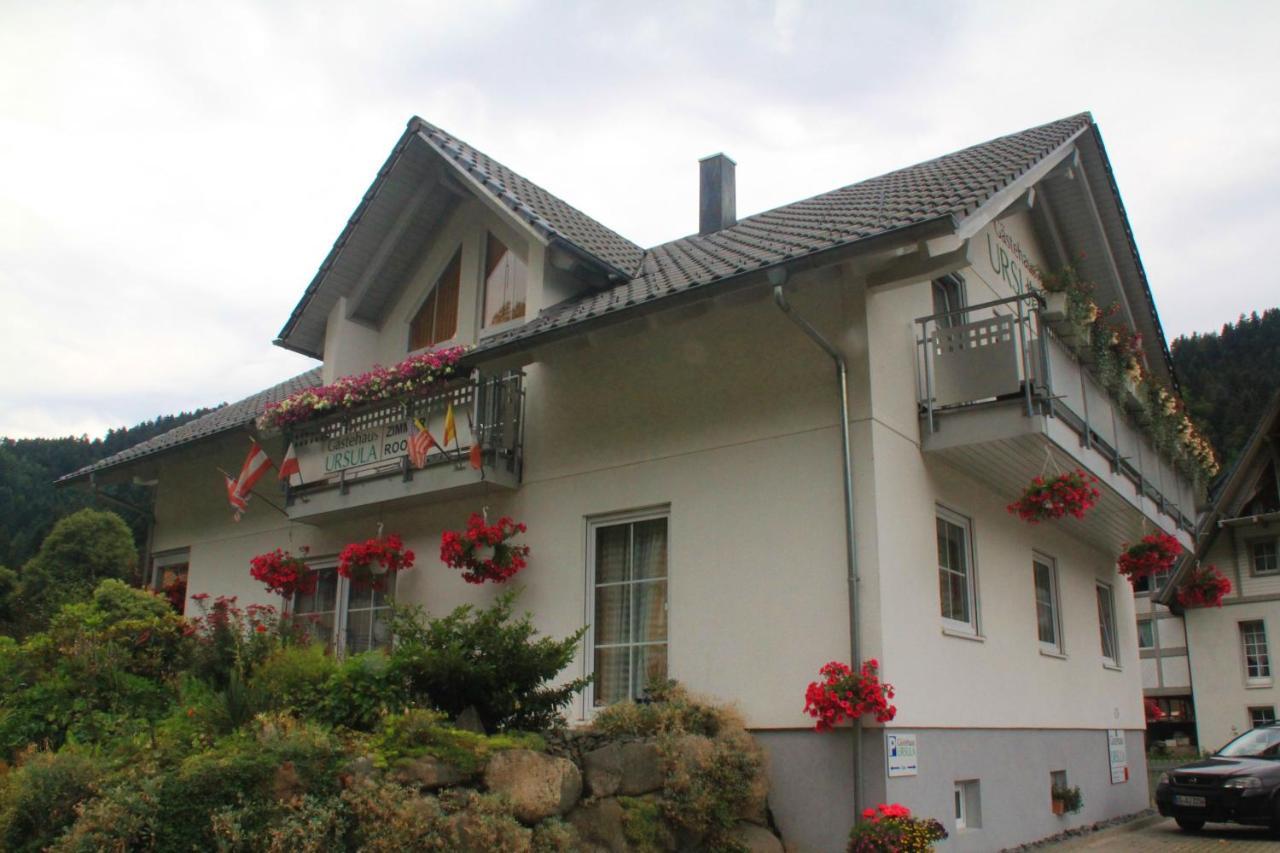 Gaestehaus Ursula ホルンベルク エクステリア 写真