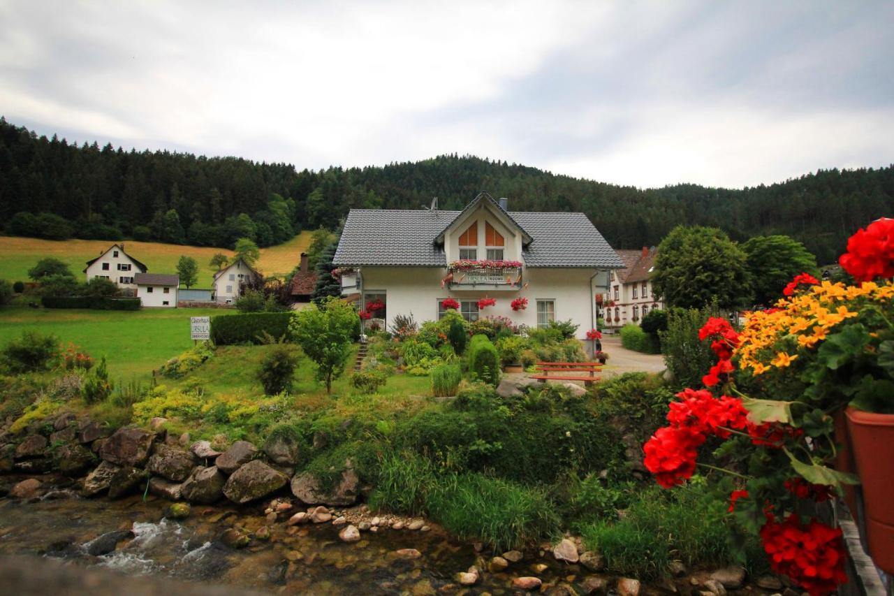 Gaestehaus Ursula ホルンベルク エクステリア 写真